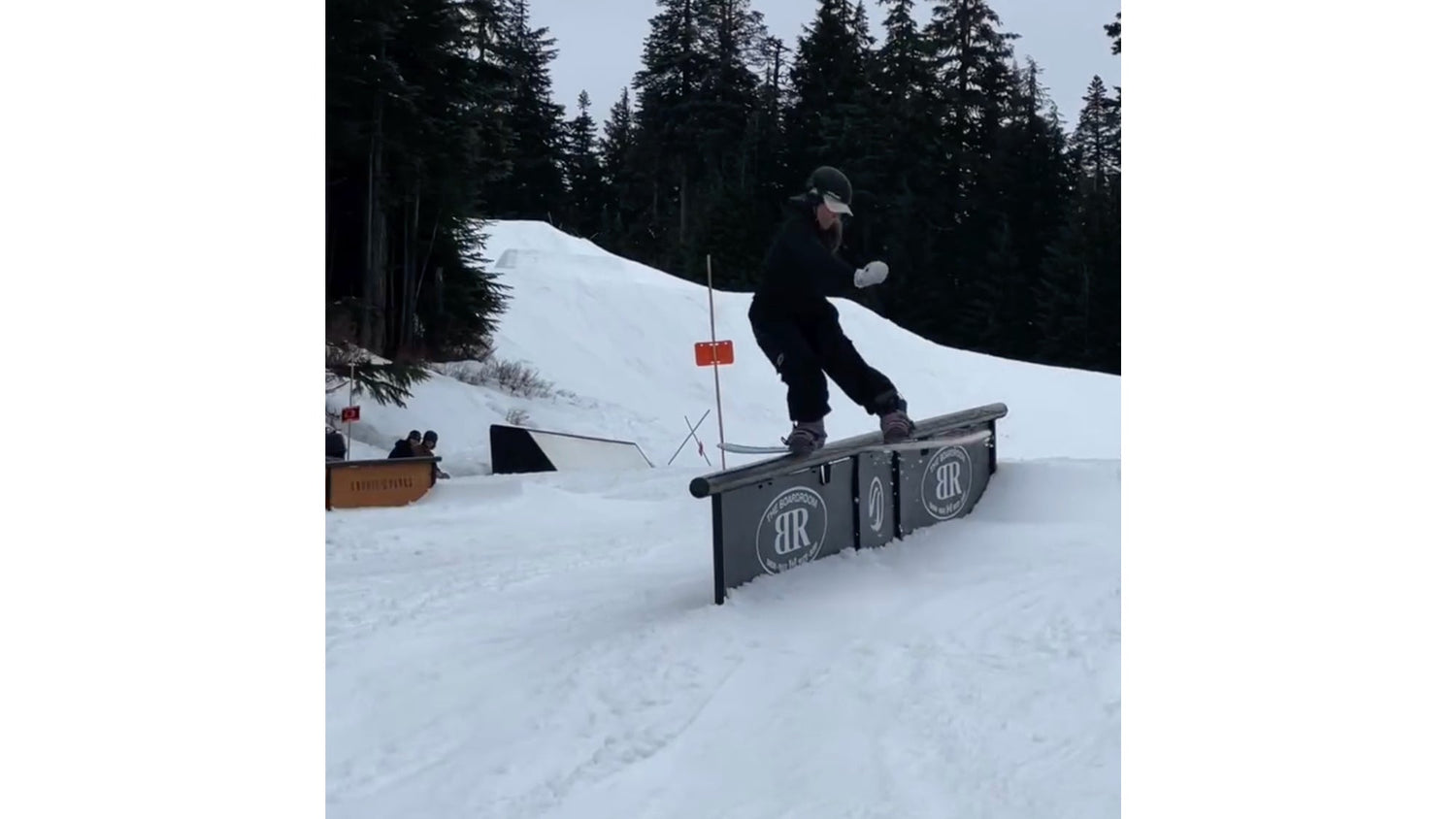 Adelya Talyspayeva RSOPENVQS 2025 Submission