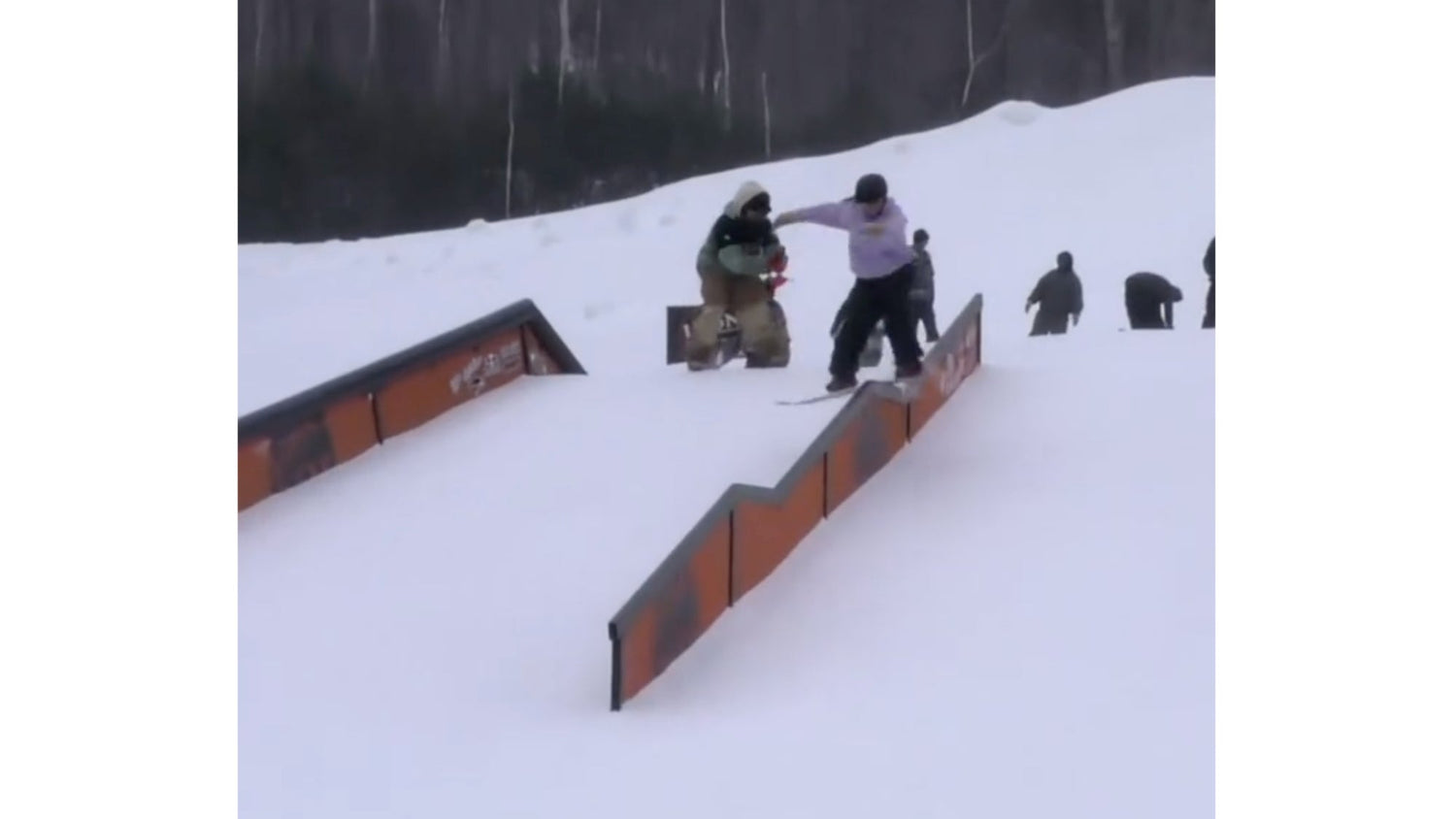 Erin Alexander RSOPENVQS 2025 Submission