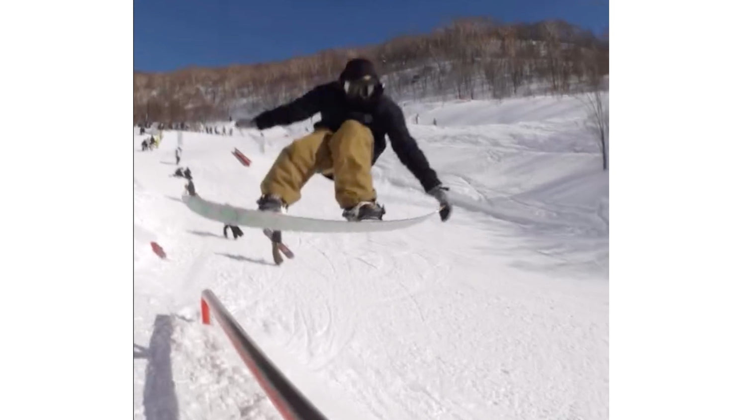 Laura Rogoski RSOPEN VQS 2025 Submission