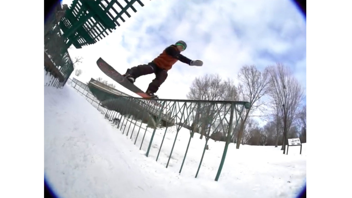 Michelle Schlanger RSOPENVQS 2025 Submission