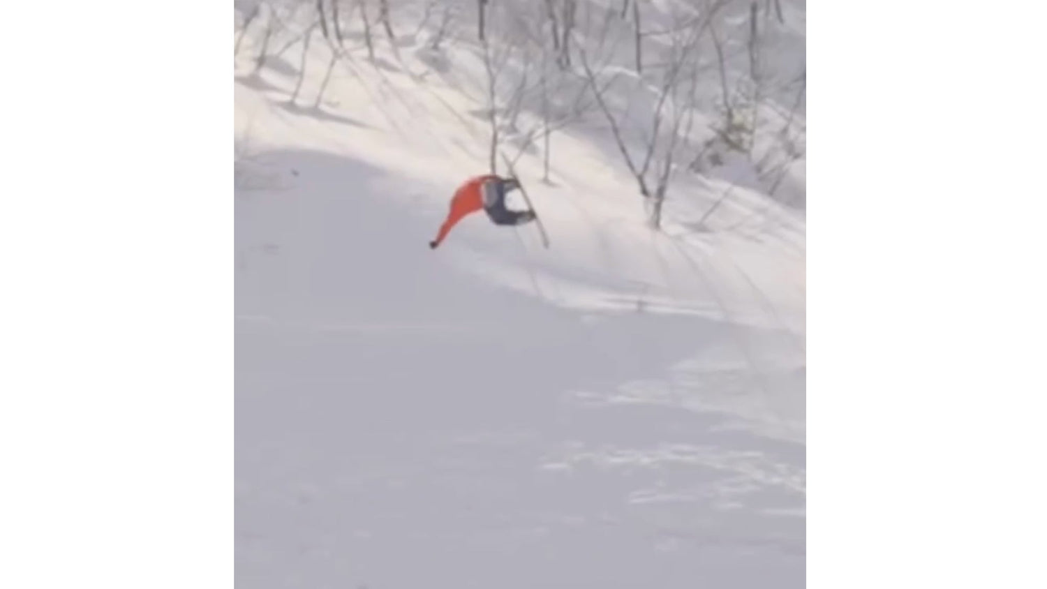 Shuzaburo Otsubo RSOPENVQS 2025 Submission