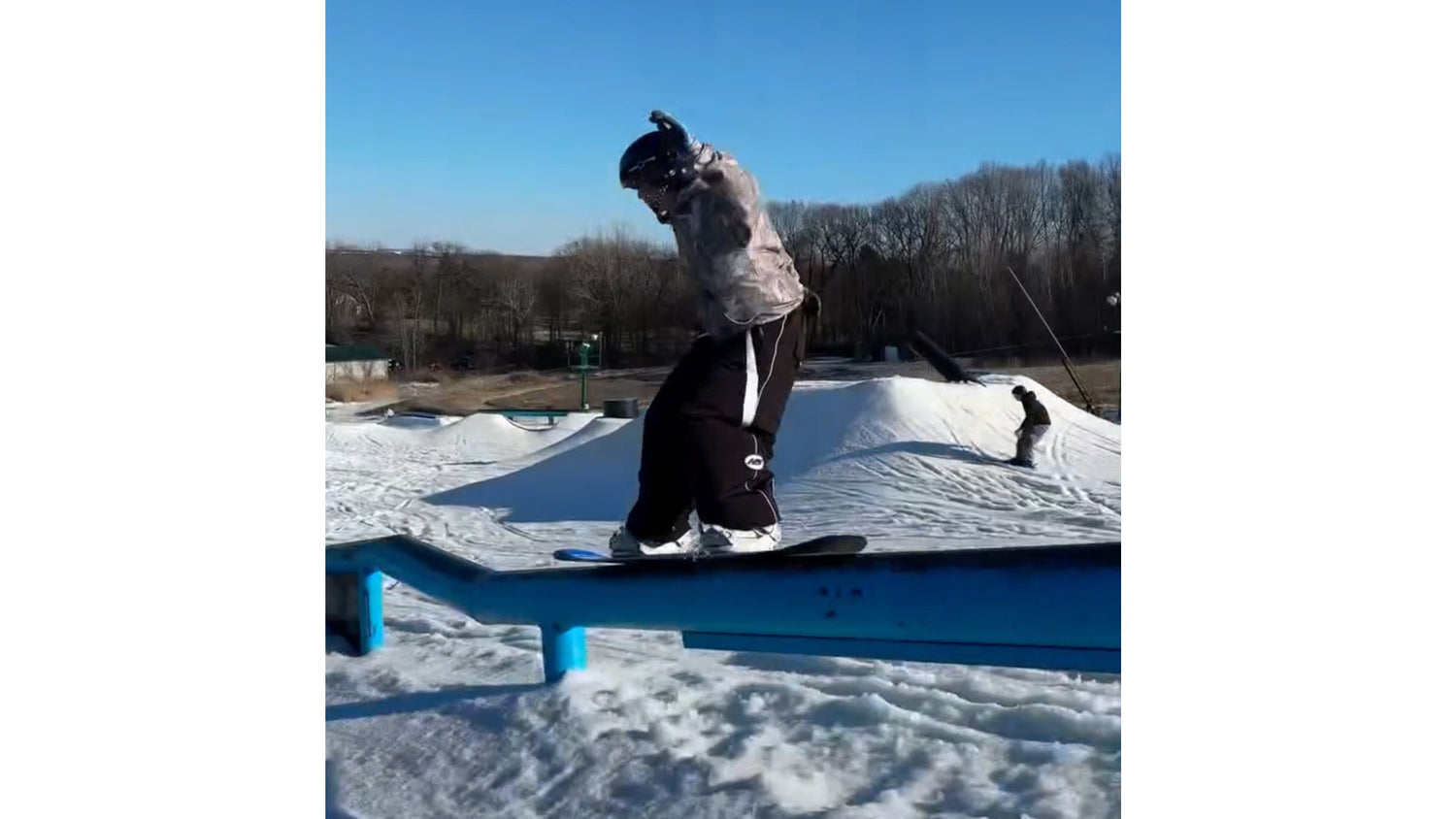 Zoey Divietri RSOPENVQS 2025 Submission